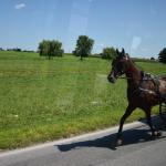 2017OTRA-1_434 (August 24, 2017)